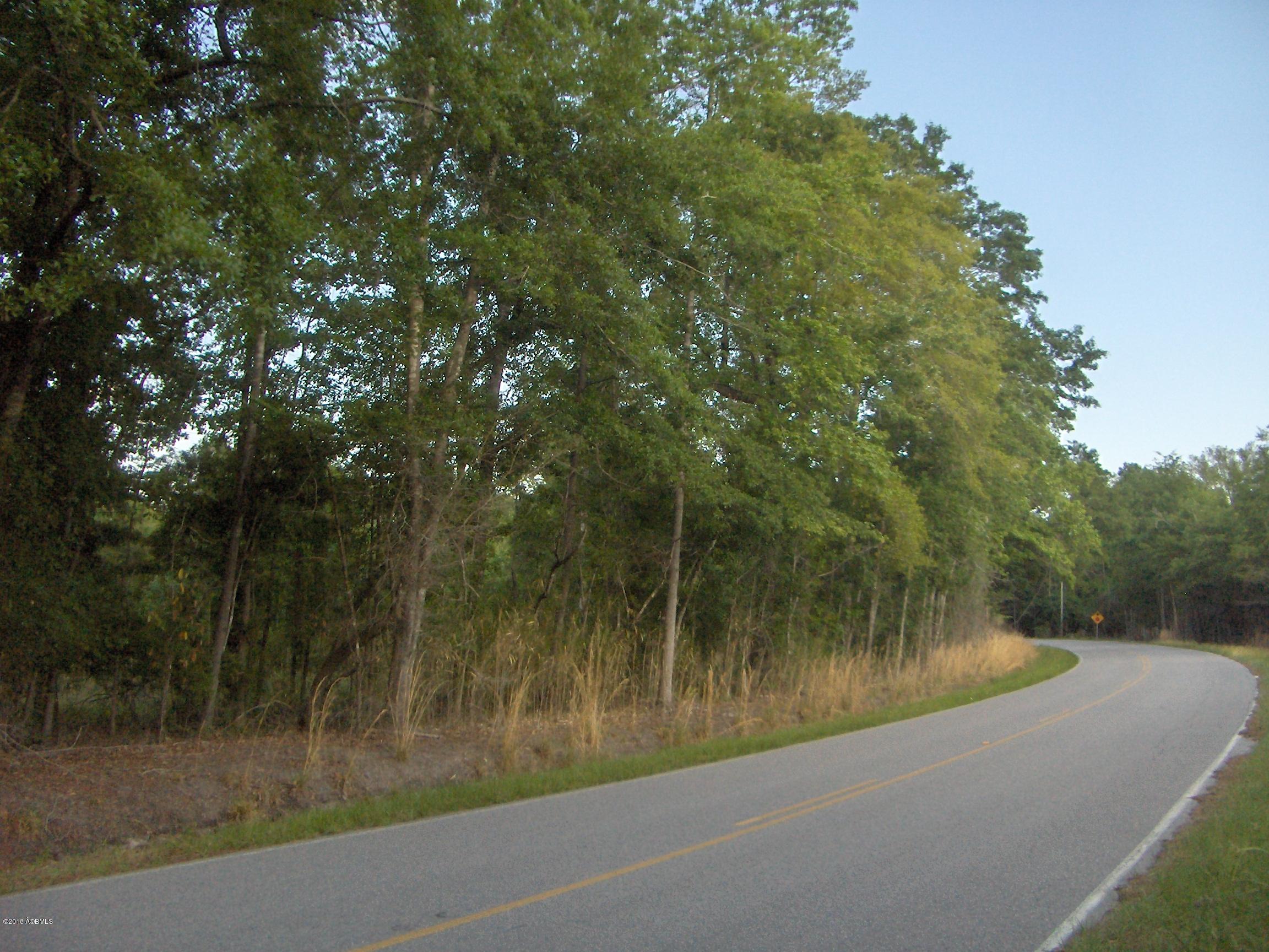 0 Cherry Hill Road Ridgeland, SC 29936 - Photo 2 of 4 HPIM6894