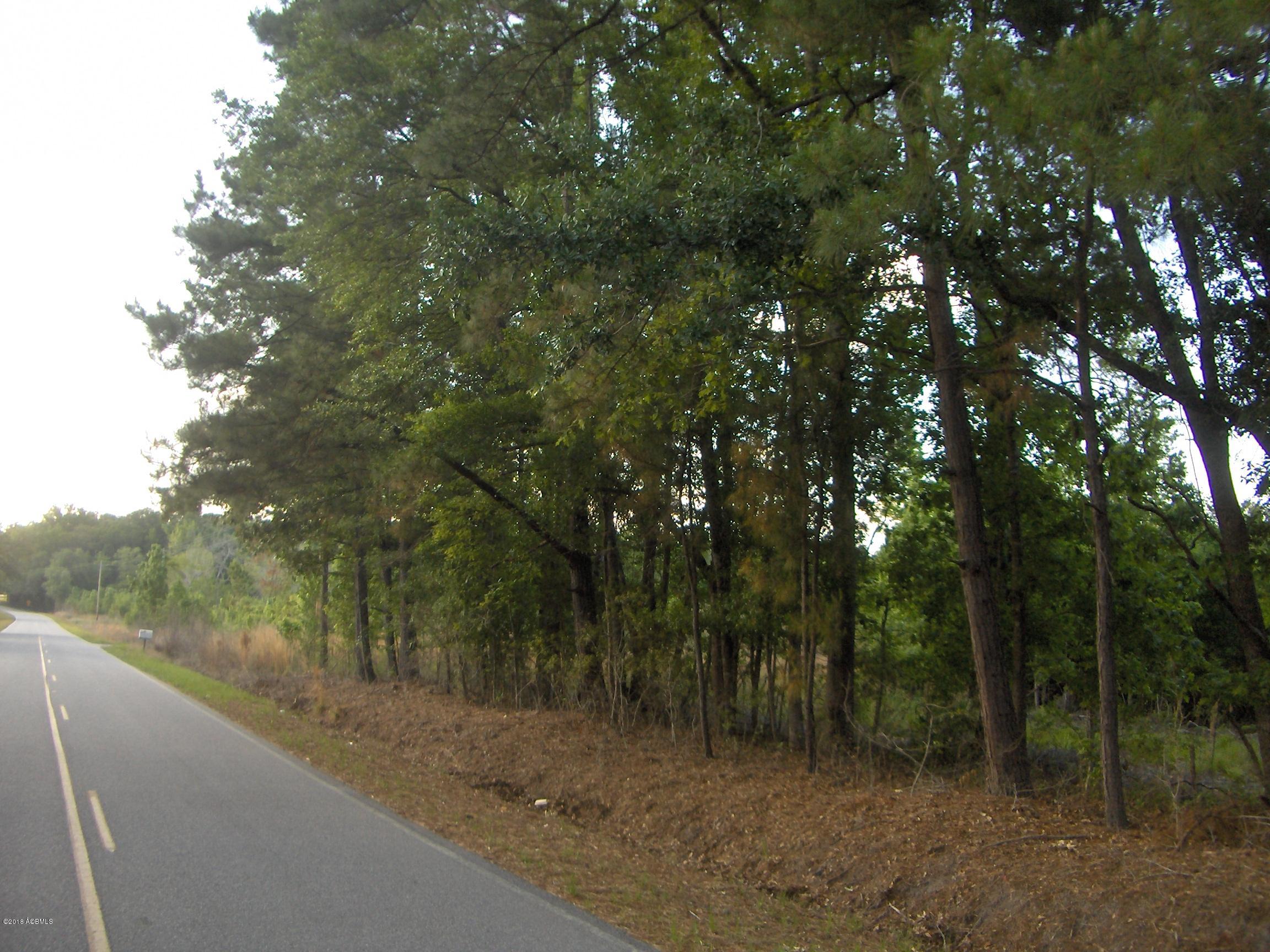 0 Cherry Hill Road Ridgeland, SC 29936 - Photo 3 of 4 HPIM6895