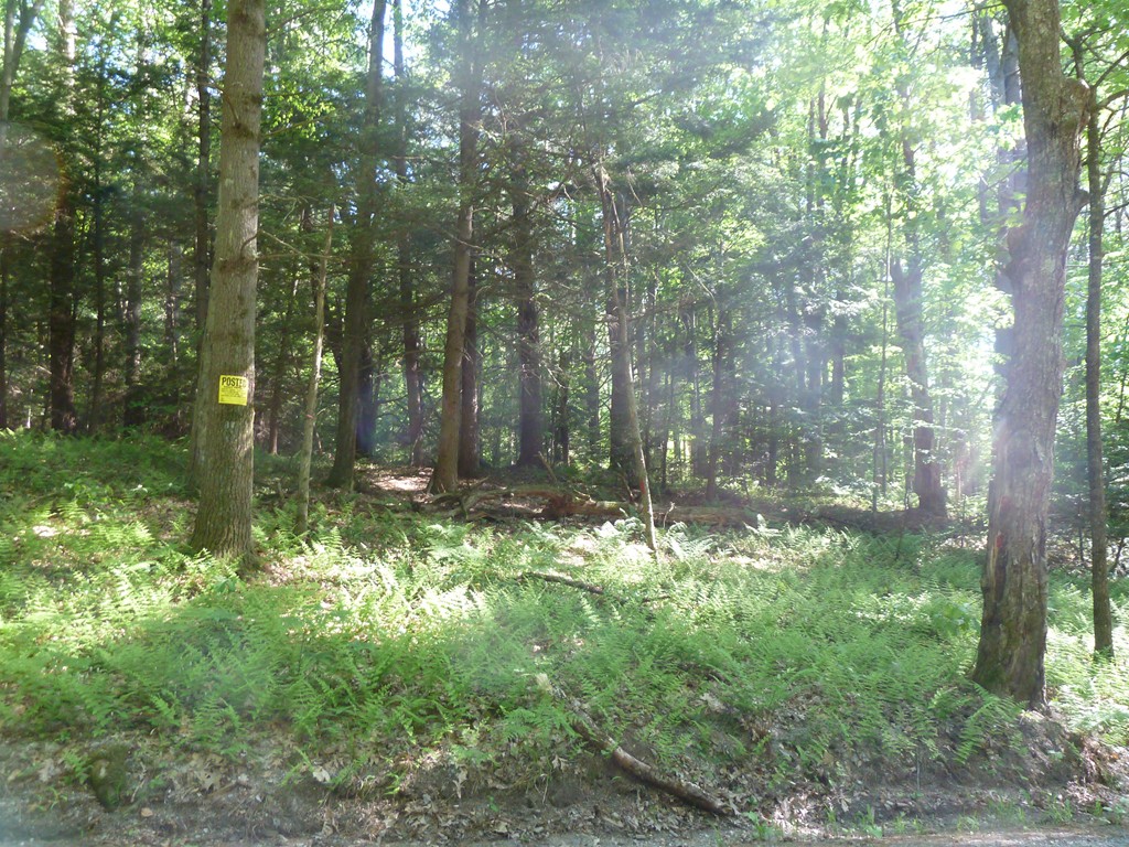 Lot 1 West Gill Road Gill, MA 01354 - Photo 15 of 31 Gallery Image 15