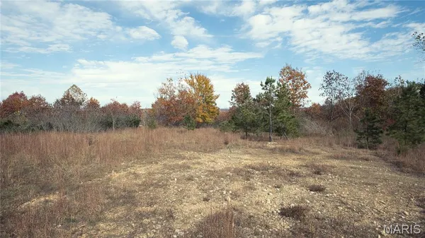 $3,621,200 | 0 Highway 49, Unit TRACT 113, Piedmont, MO 63957