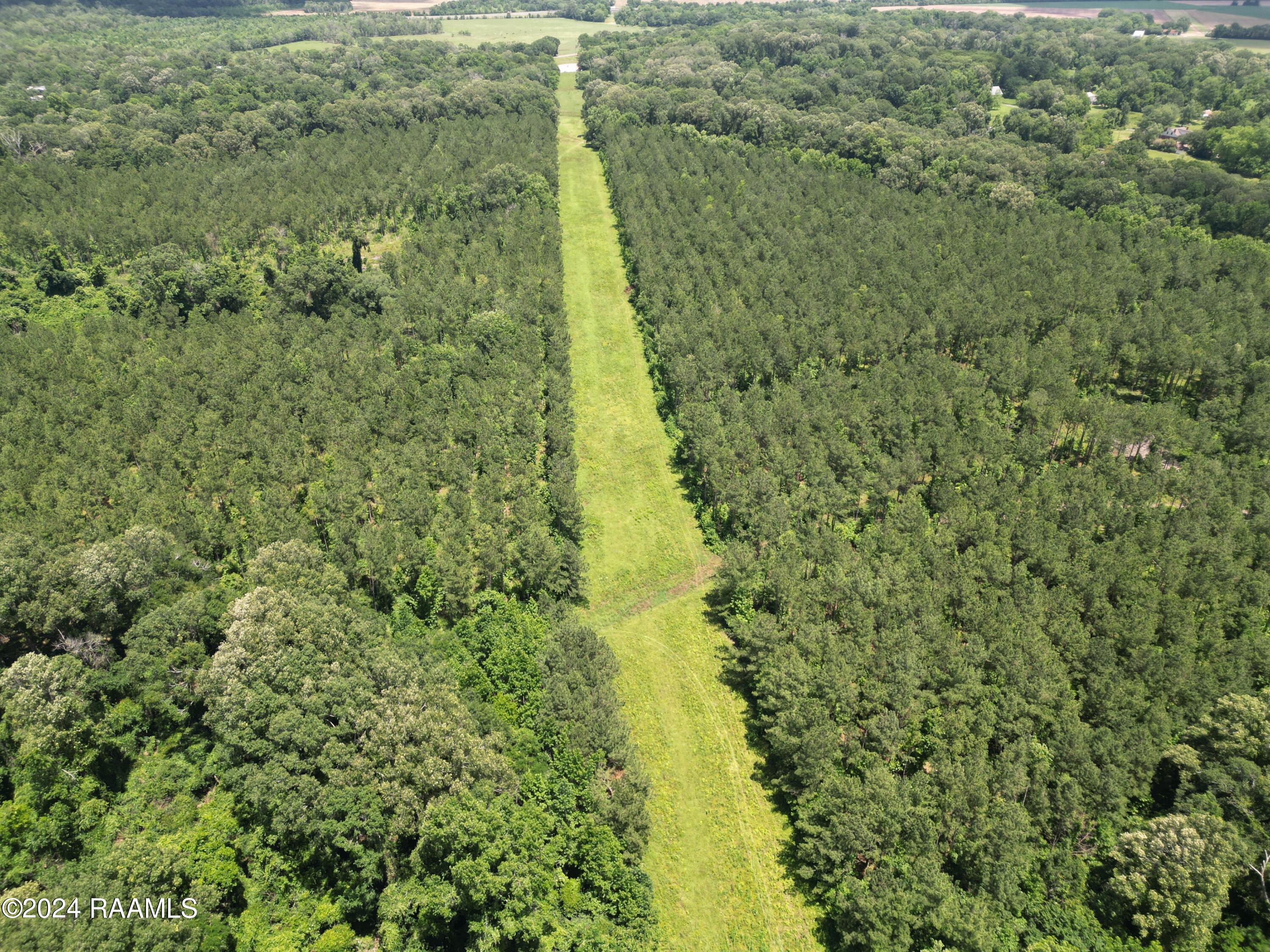 0 Herbert Ortego Road Washington, LA 70589 - Photo 17 of 18