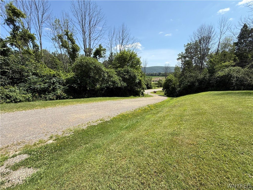 4565 Back River Road Amity, NY 14813 - Photo 28 of 37