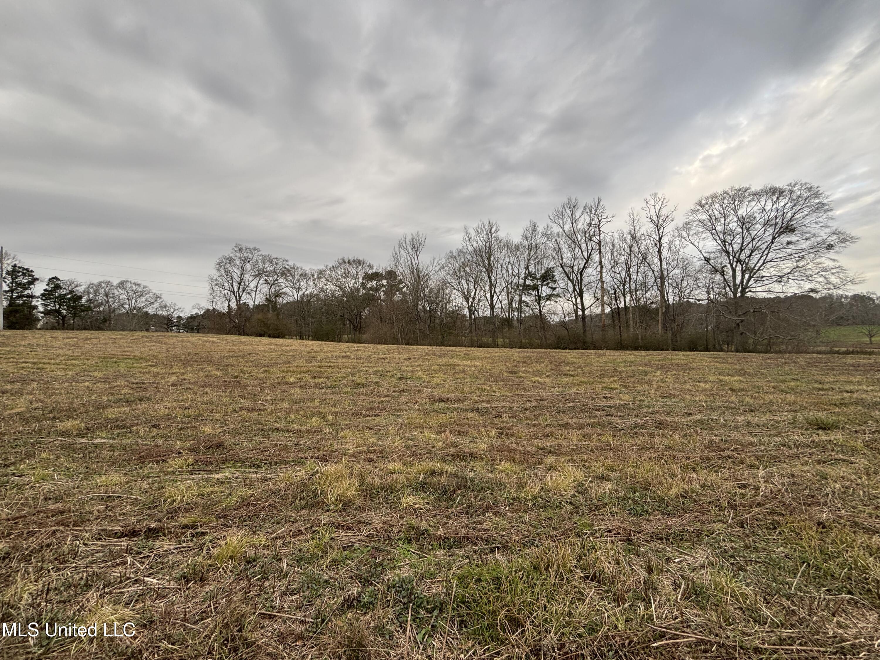 0 Lower Myrick Road Laurel, MS 39443 - Photo 11 of 30 IMG_2422