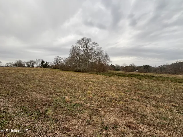 $125,000 | 0 Lower Myrick Road, Laurel, MS 39443