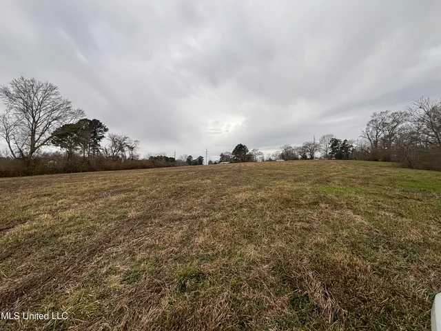 $125,000 | 0 Lower Myrick Road, Laurel, MS 39443