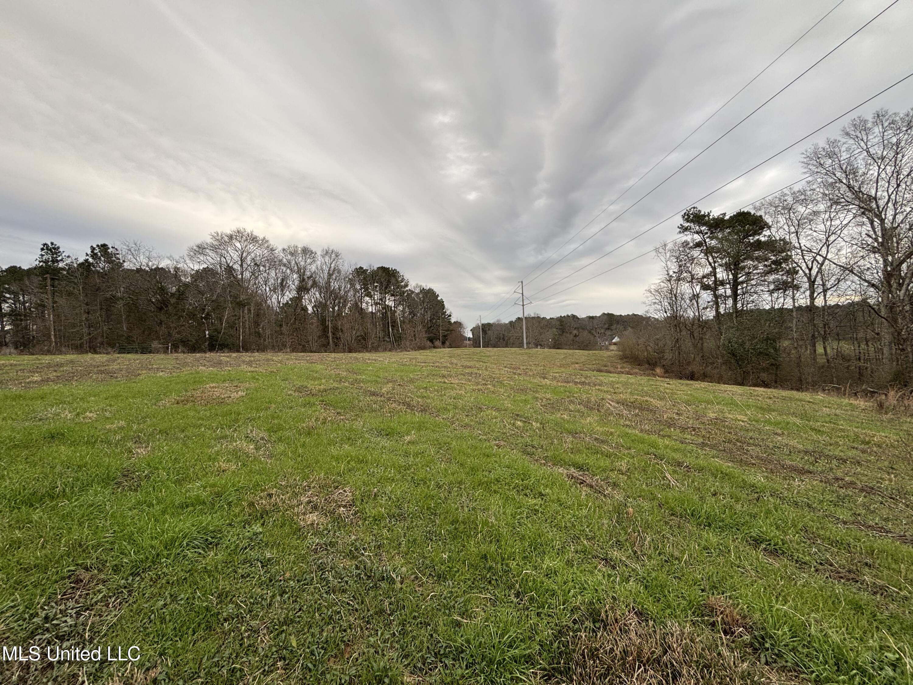 0 Lower Myrick Road Laurel, MS 39443 - Photo 14 of 30 IMG_2428