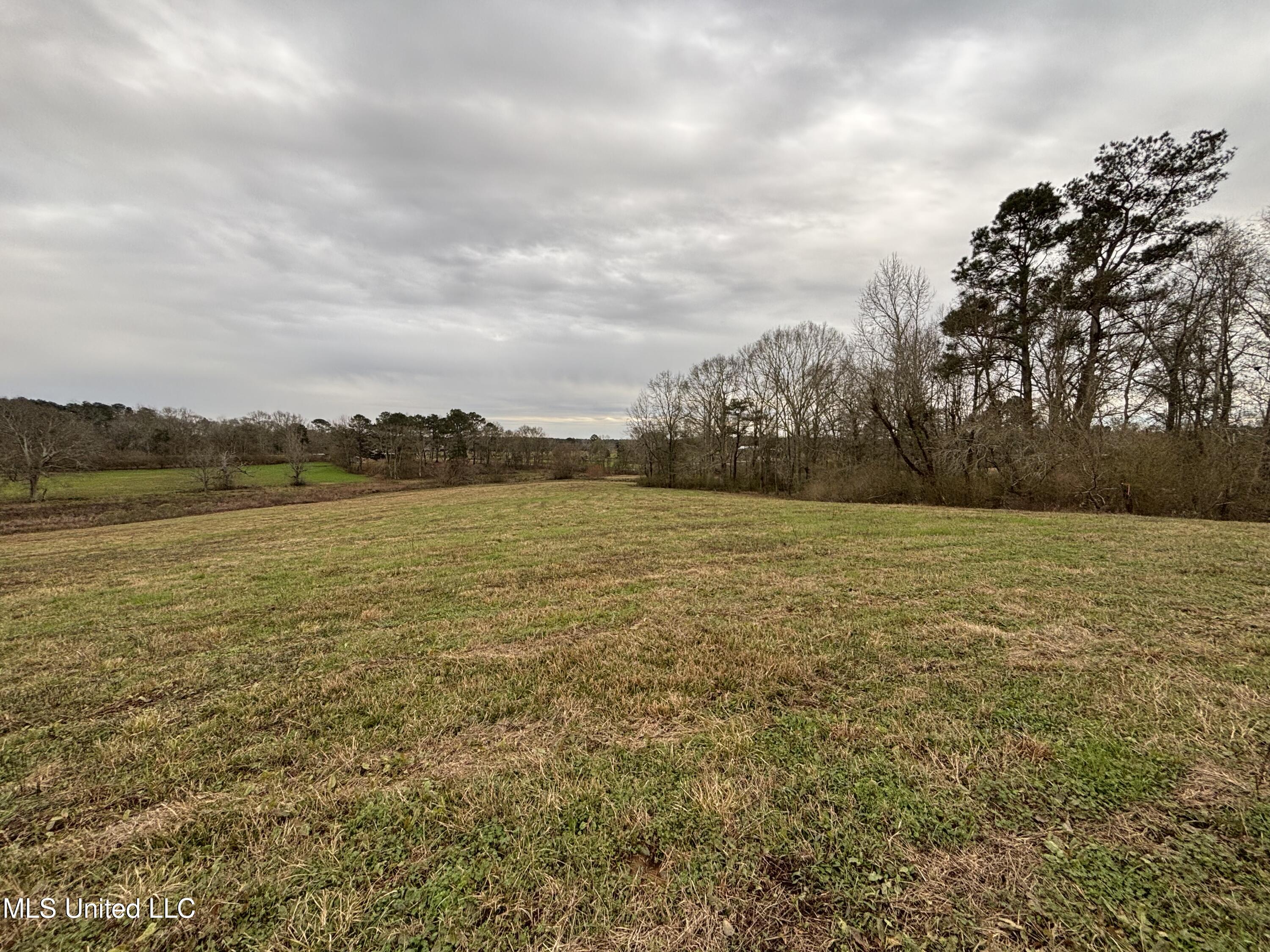 0 Lower Myrick Road Laurel, MS 39443 - Photo 15 of 30 IMG_2430