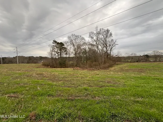 $125,000 | 0 Lower Myrick Road, Laurel, MS 39443