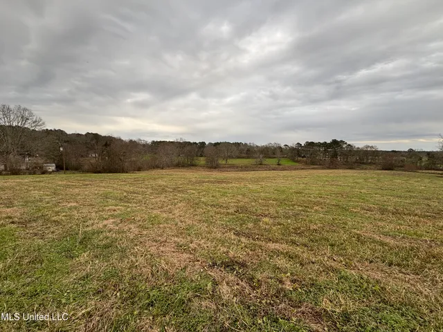 $125,000 | 0 Lower Myrick Road, Laurel, MS 39443