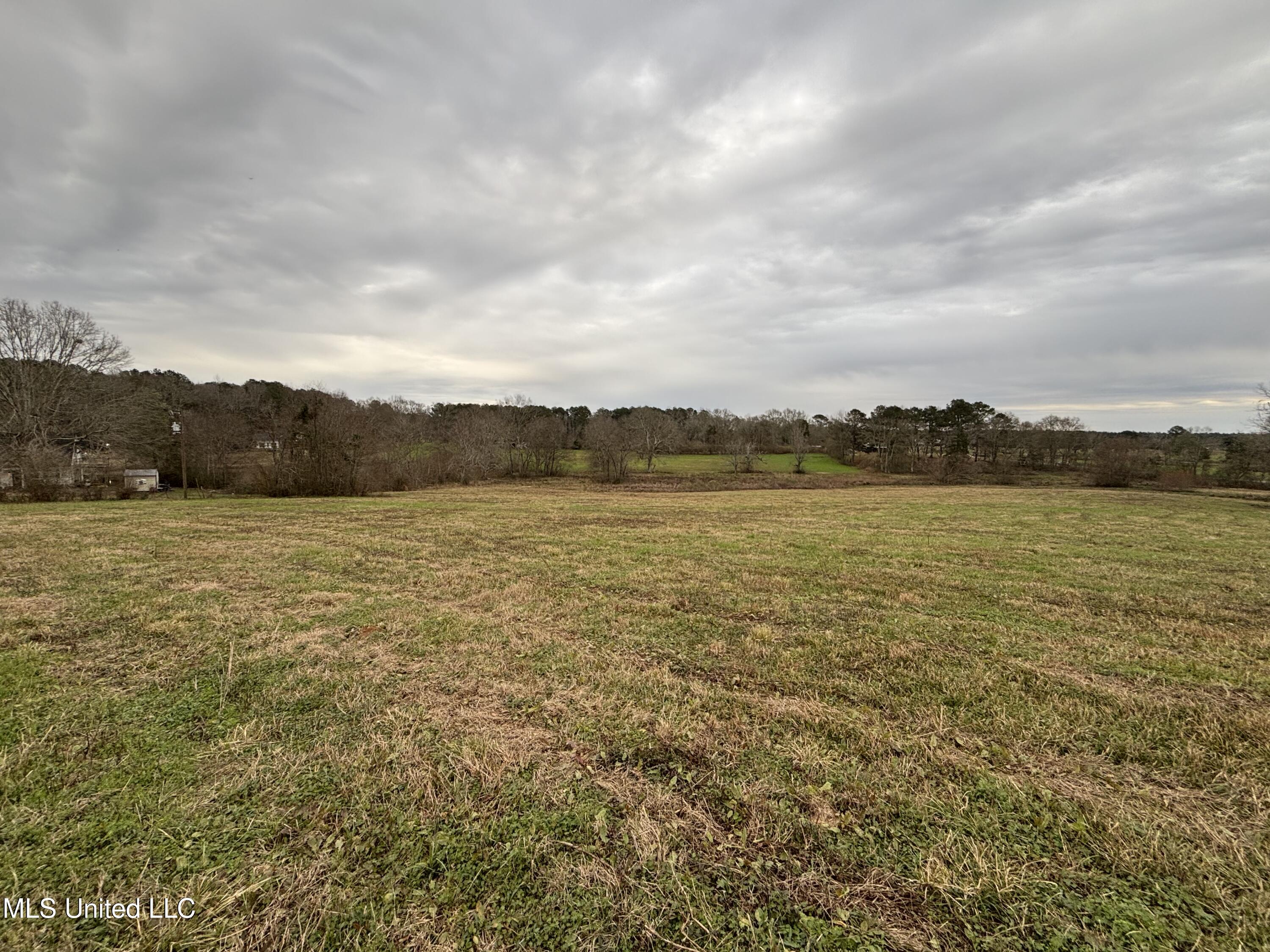 0 Lower Myrick Road Laurel, MS 39443 - Photo 17 of 30 IMG_2431