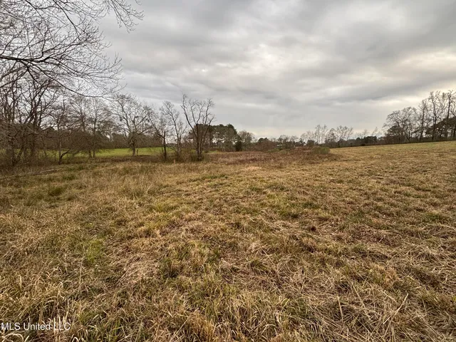 $125,000 | 0 Lower Myrick Road, Laurel, MS 39443