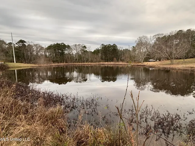 $125,000 | 0 Lower Myrick Road, Laurel, MS 39443