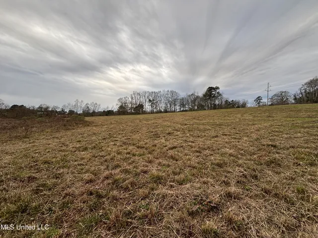 $125,000 | 0 Lower Myrick Road, Laurel, MS 39443