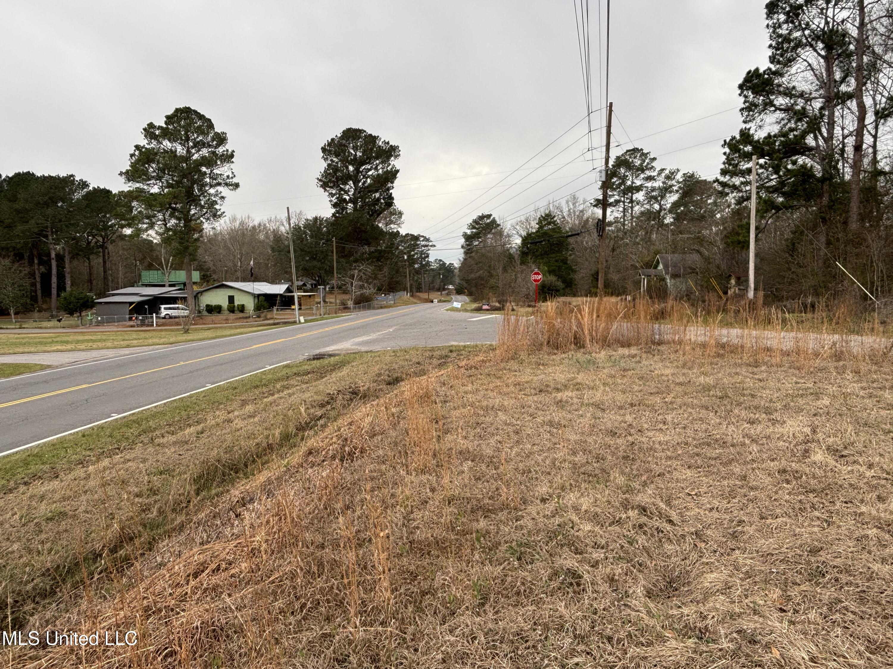 0 Lower Myrick Road Laurel, MS 39443 - Photo 4 of 30 IMG_2416