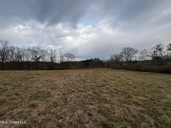 $125,000 | 0 Lower Myrick Road, Laurel, MS 39443
