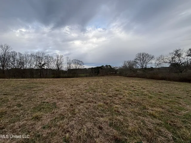 $125,000 | 0 Lower Myrick Road, Laurel, MS 39443