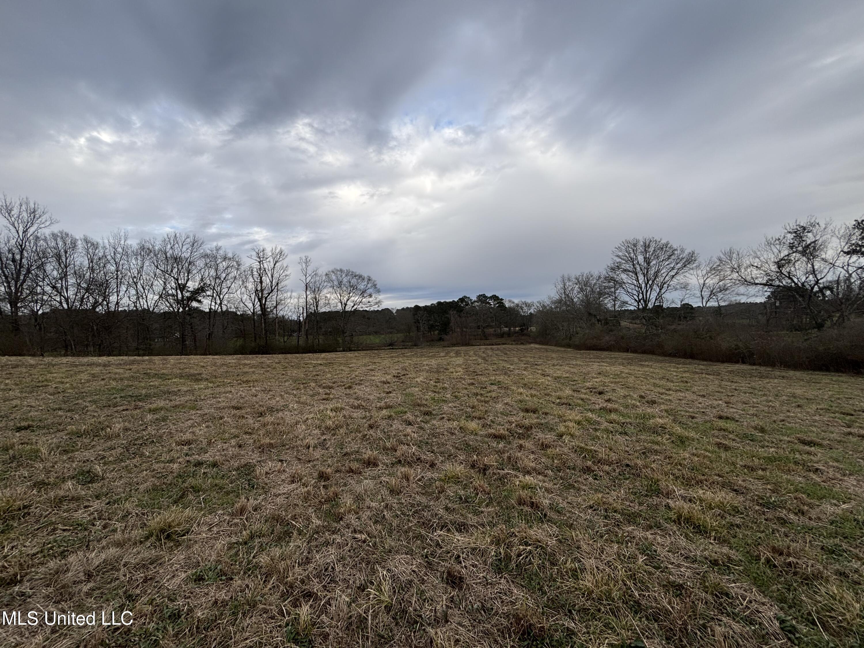 0 Lower Myrick Road Laurel, MS 39443 - Photo 7 of 30 IMG_2421