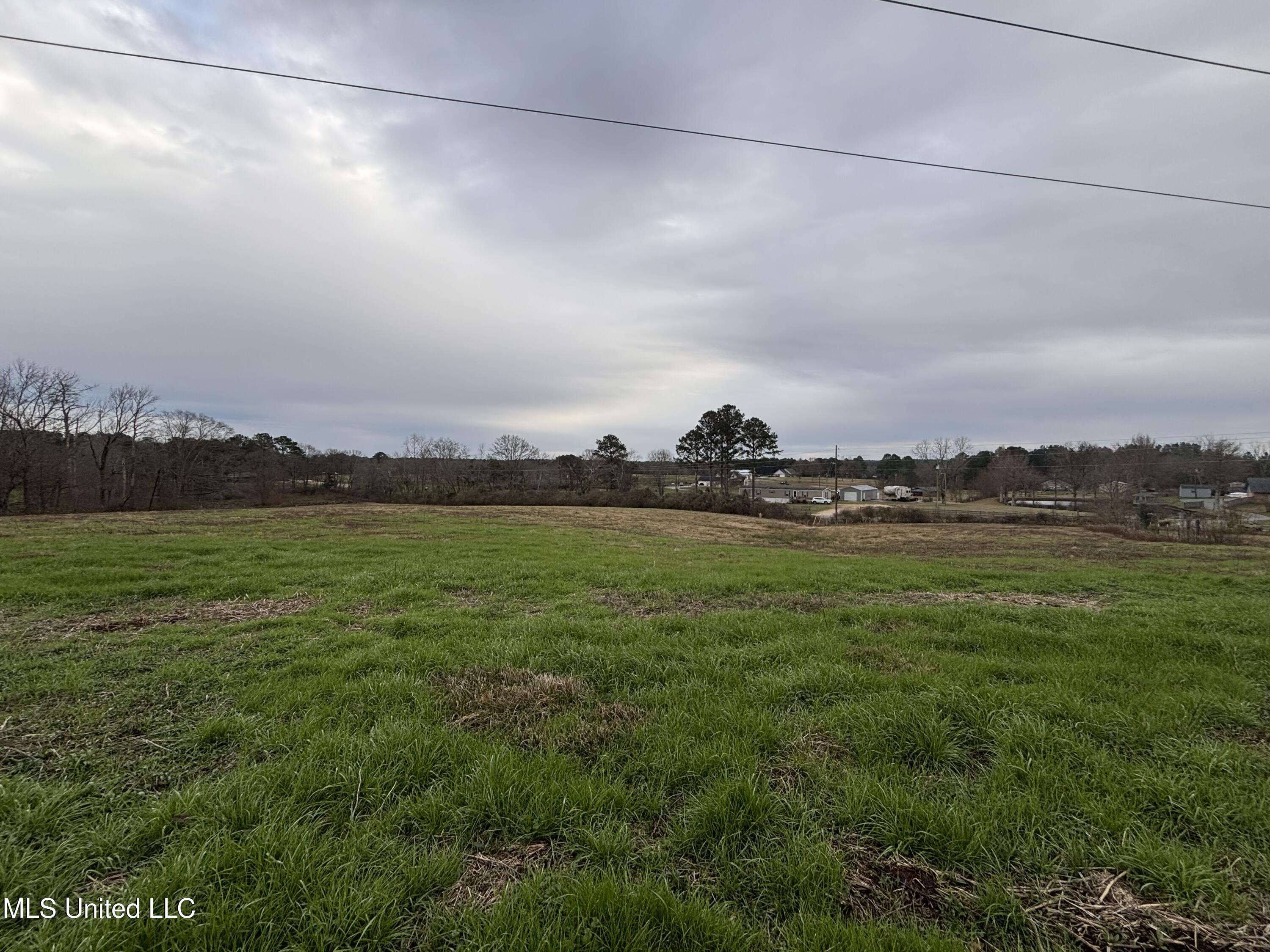 0 Lower Myrick Road Laurel, MS 39443 - Photo 8 of 30 IMG_2419