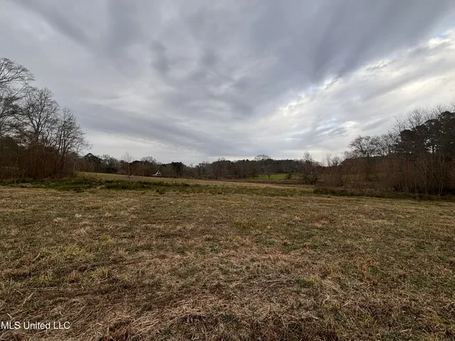 $125,000 | 0 Lower Myrick Road, Laurel, MS 39443