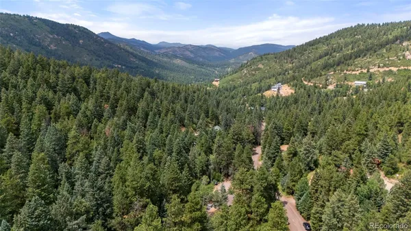 a view of a lush green forest with mountains in the background
