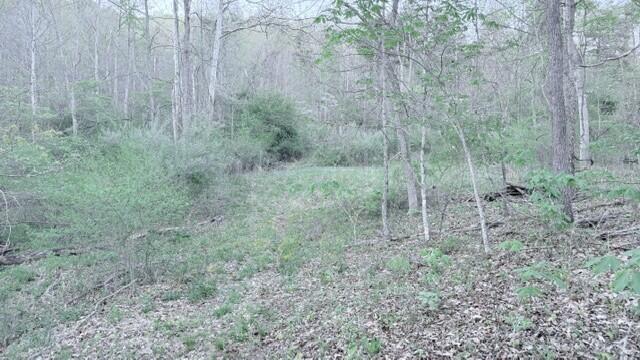 2463 Willow Bend Road Lindside, WV 24951 - Photo 61 of 75 Gallery Image 61