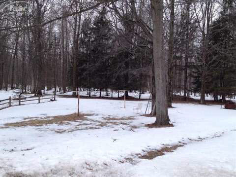 14344 Raucholz Road Chesaning, MI 48616 - Photo 5 of 7 20396028-4.JPG