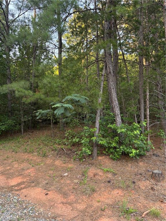 311 Bethesda Road Lexington, NC 27295 - Photo 4 of 4