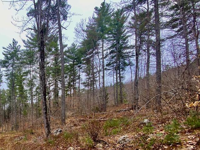 26-ac Spring Street Brownfield, ME 04010 - Photo 20 of 20 IMG_2688