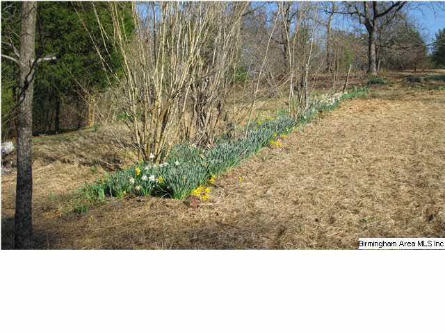 215 Horsley Road Remlap, AL 35133 - Photo 3 of 31 Gallery Image 3