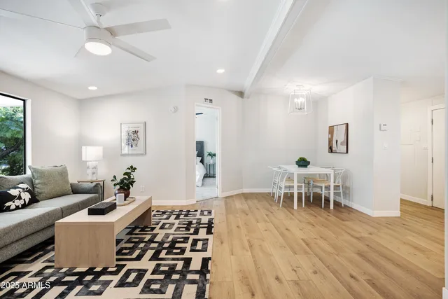 a living room with furniture a dining table and a potted plant
