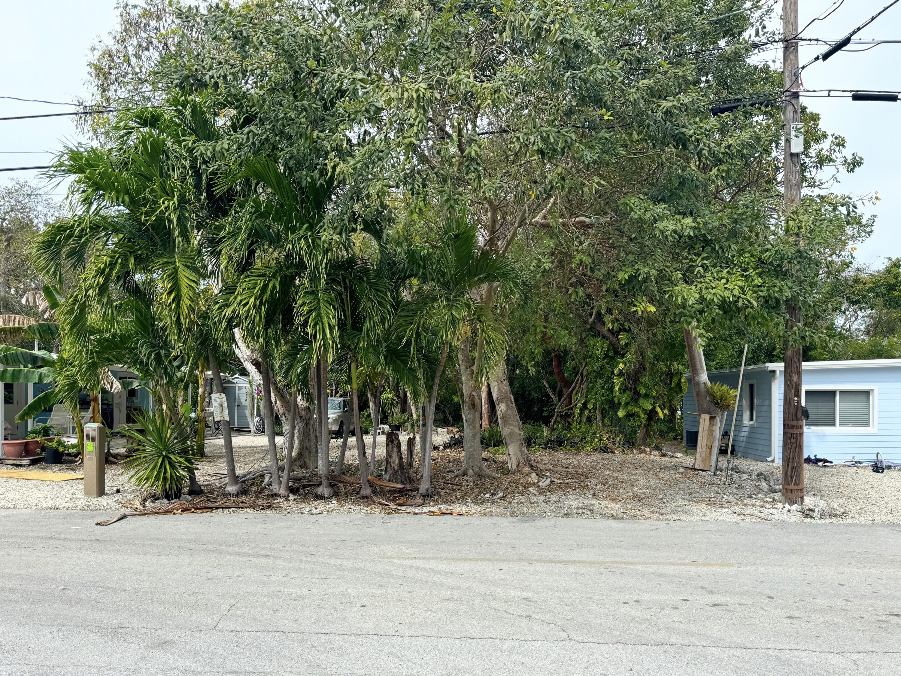 50 Oleander Drive Key Largo, FL 33037 - Photo 4 of 8 Tezza-7423