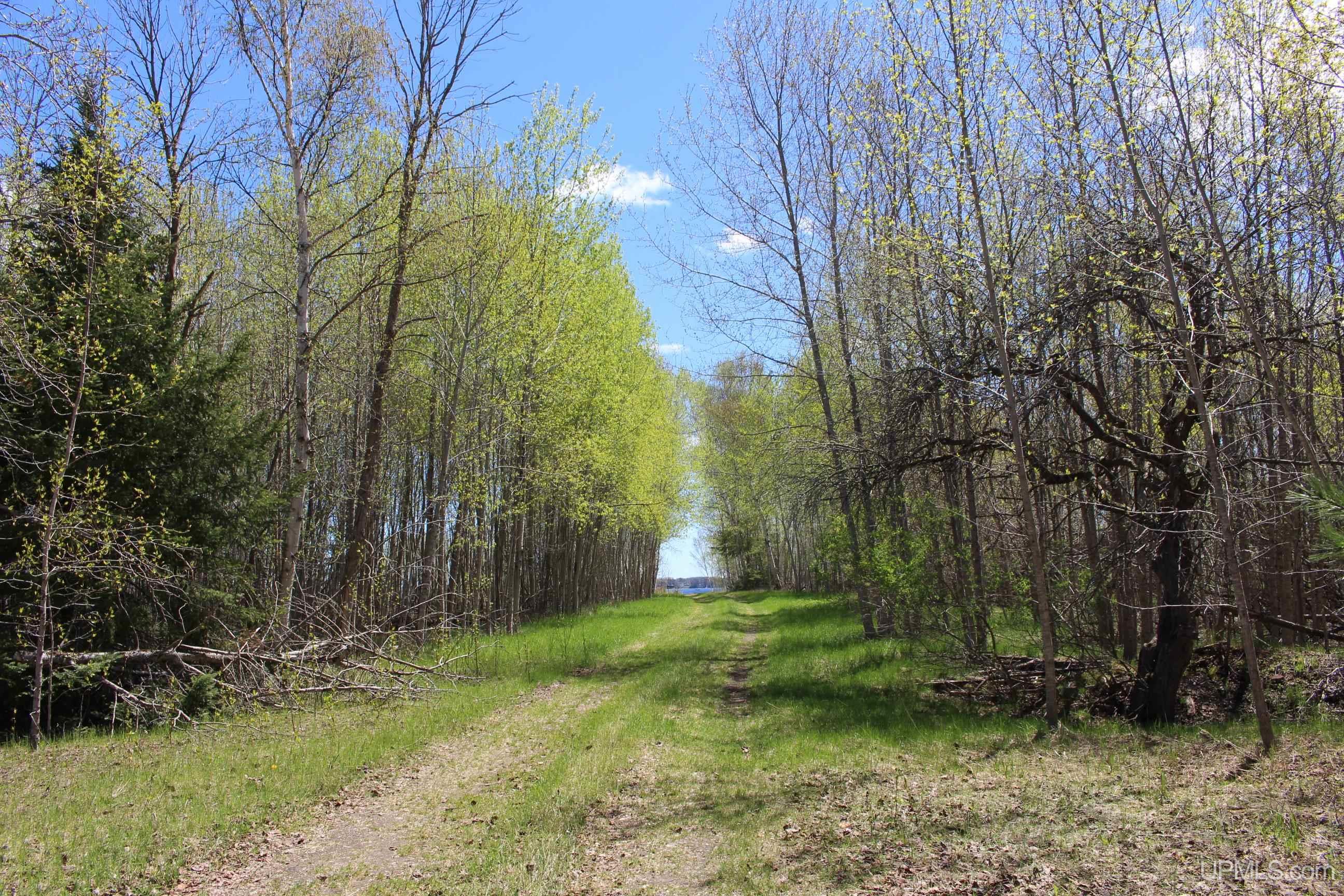 23.5 Rd Gladstone Mi 49837 Road Gladstone, MI 49837 - Photo 6 of 50