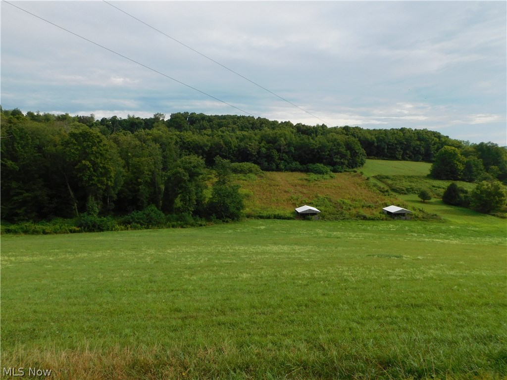 Lorric Road Northwest Minerva, OH 44657 - Photo 2 of 34 Gallery Image 2