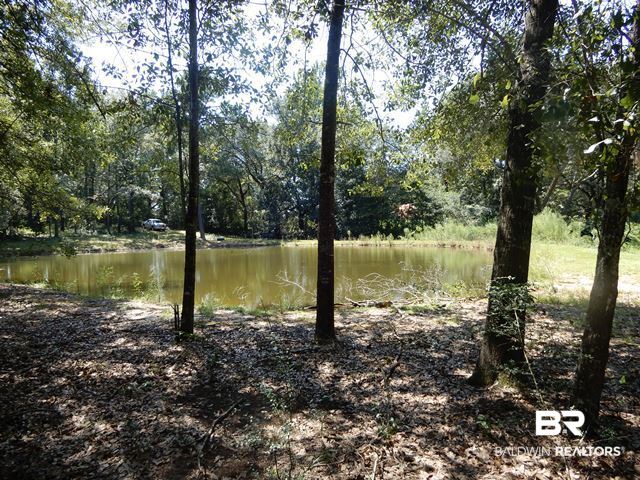1400-block Old Atmore Road Flomaton, AL 36441 - Photo 18 of 20