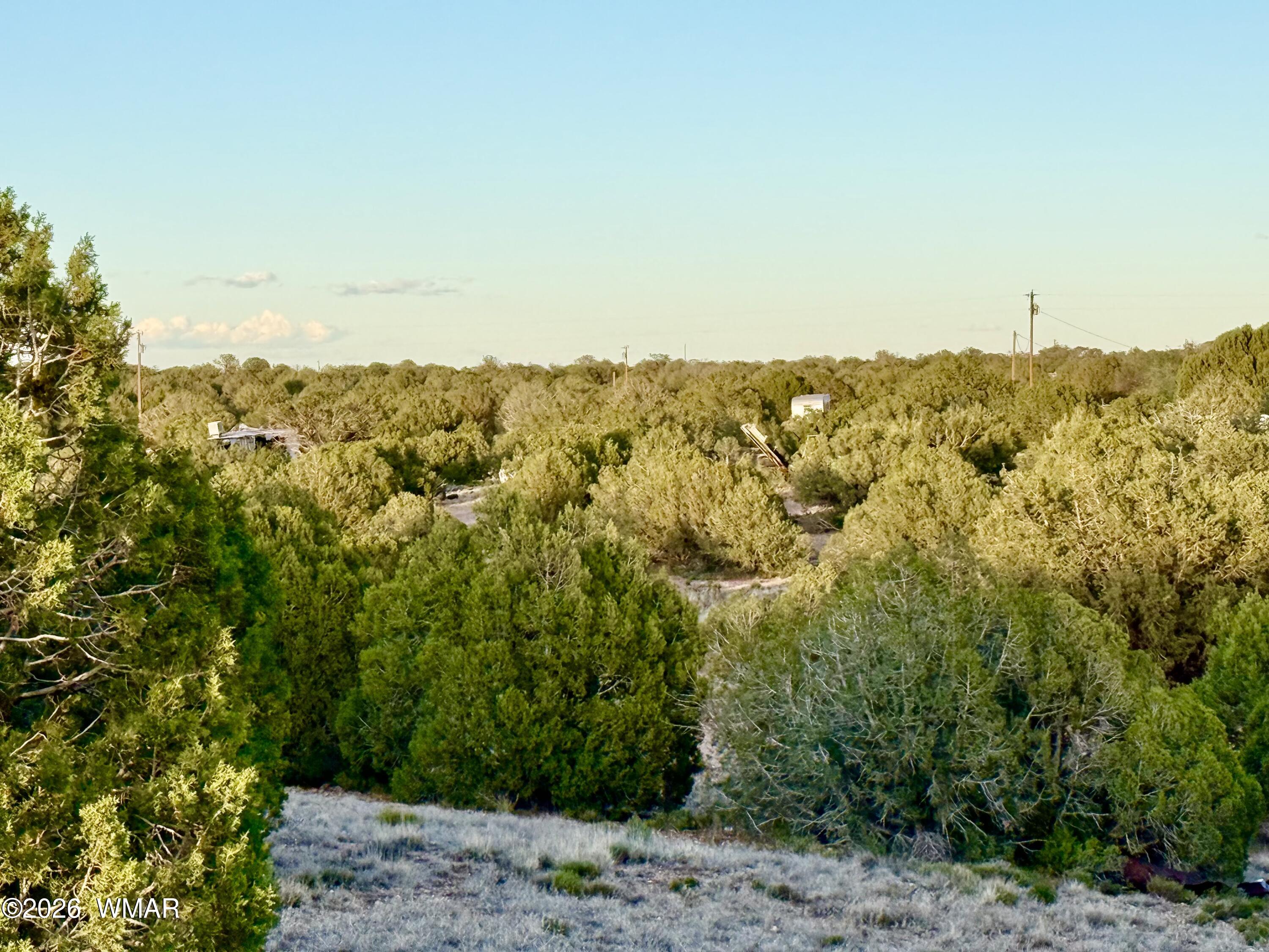 4428 Colt Road Snowflake, AZ 85937 - Photo 15 of 22 IMG_6172