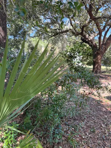 $374,900 | 6814 Avenida De Galvez, Navarre, FL 32566