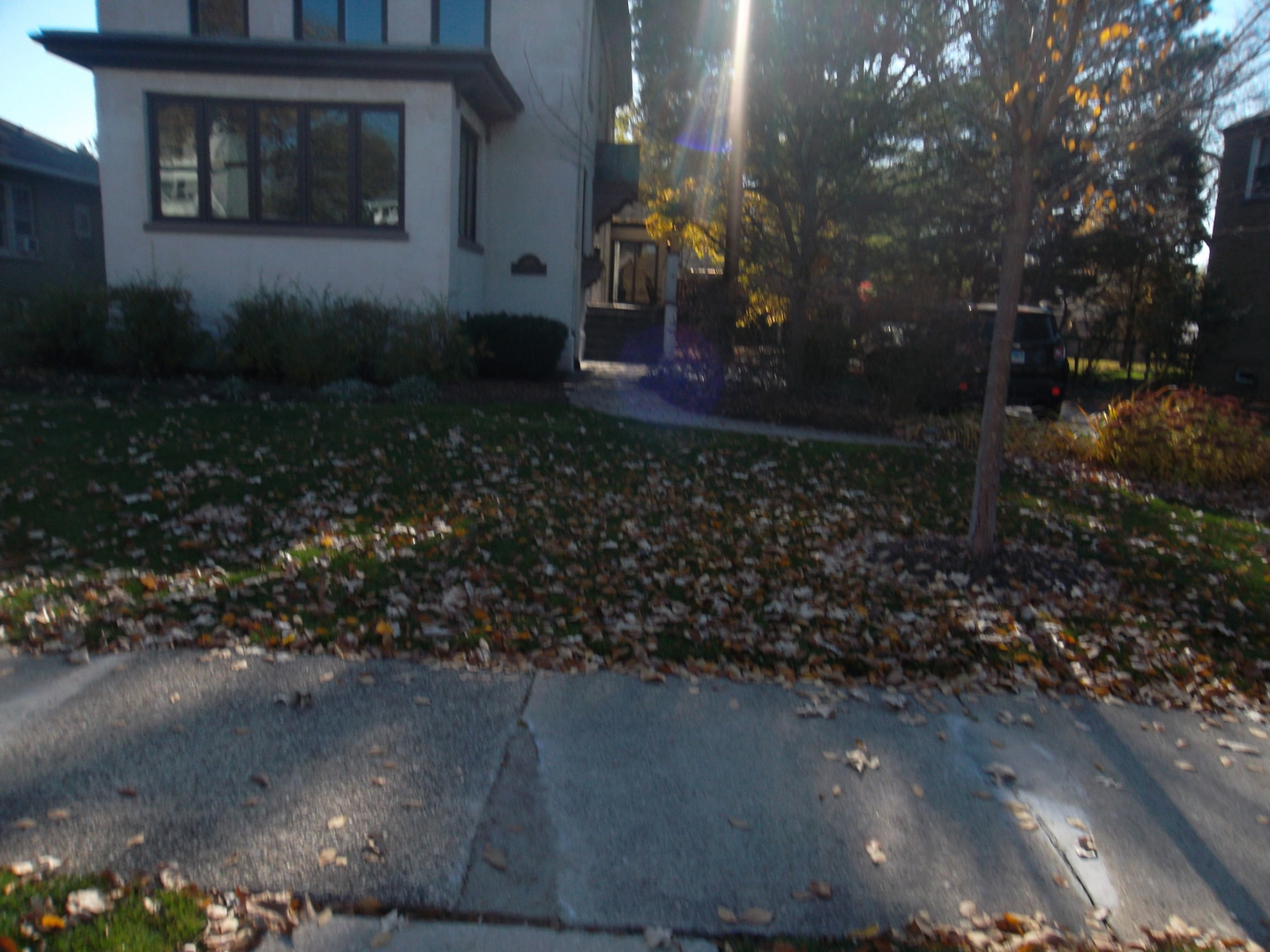 205 Herrick Road Riverside, IL 60546 - Photo 2 of 28 a view of a back yard of the house