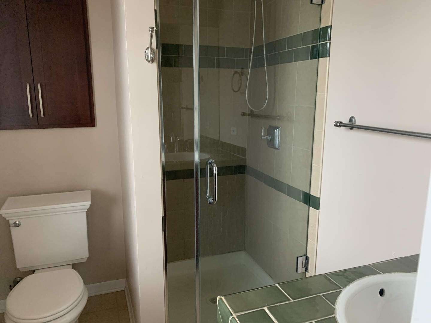 205 Herrick Road Riverside, IL 60546 - Photo 23 of 28 a bathroom with a toilet and a shower