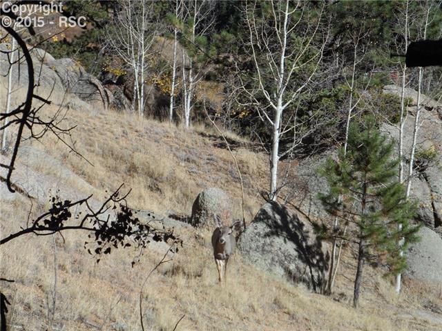 234 Berylium Road Florissant, CO 80816 - Photo 21 of 27