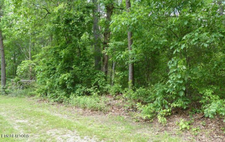 George Young Road Jamestown, TN 38556 - Photo 1 of 3 Screenshot 2025-10-19 2.53.43 PM