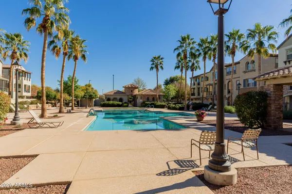 a view of a park with potted plants and palm trees