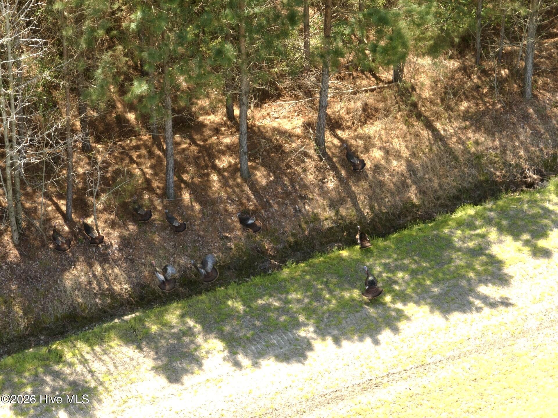 0 Medical Center Road Gates, NC 27937 - Photo 9 of 23 9