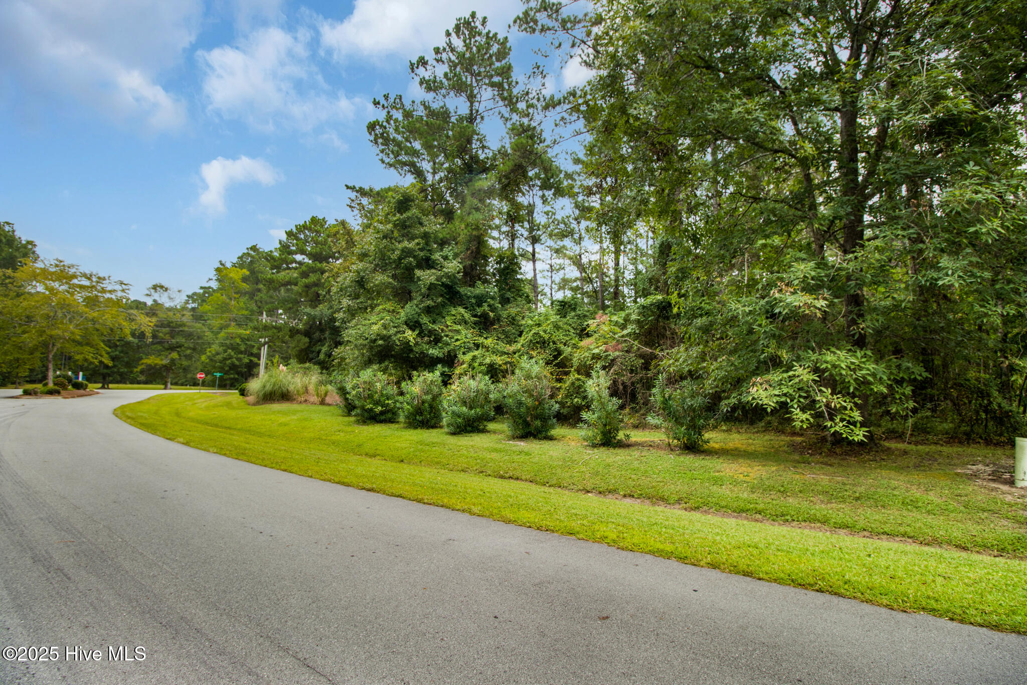 101 Cummins Creek Road Beaufort, NC 28516 - Photo 6 of 20 Corner lot in Jonaquin's Landing