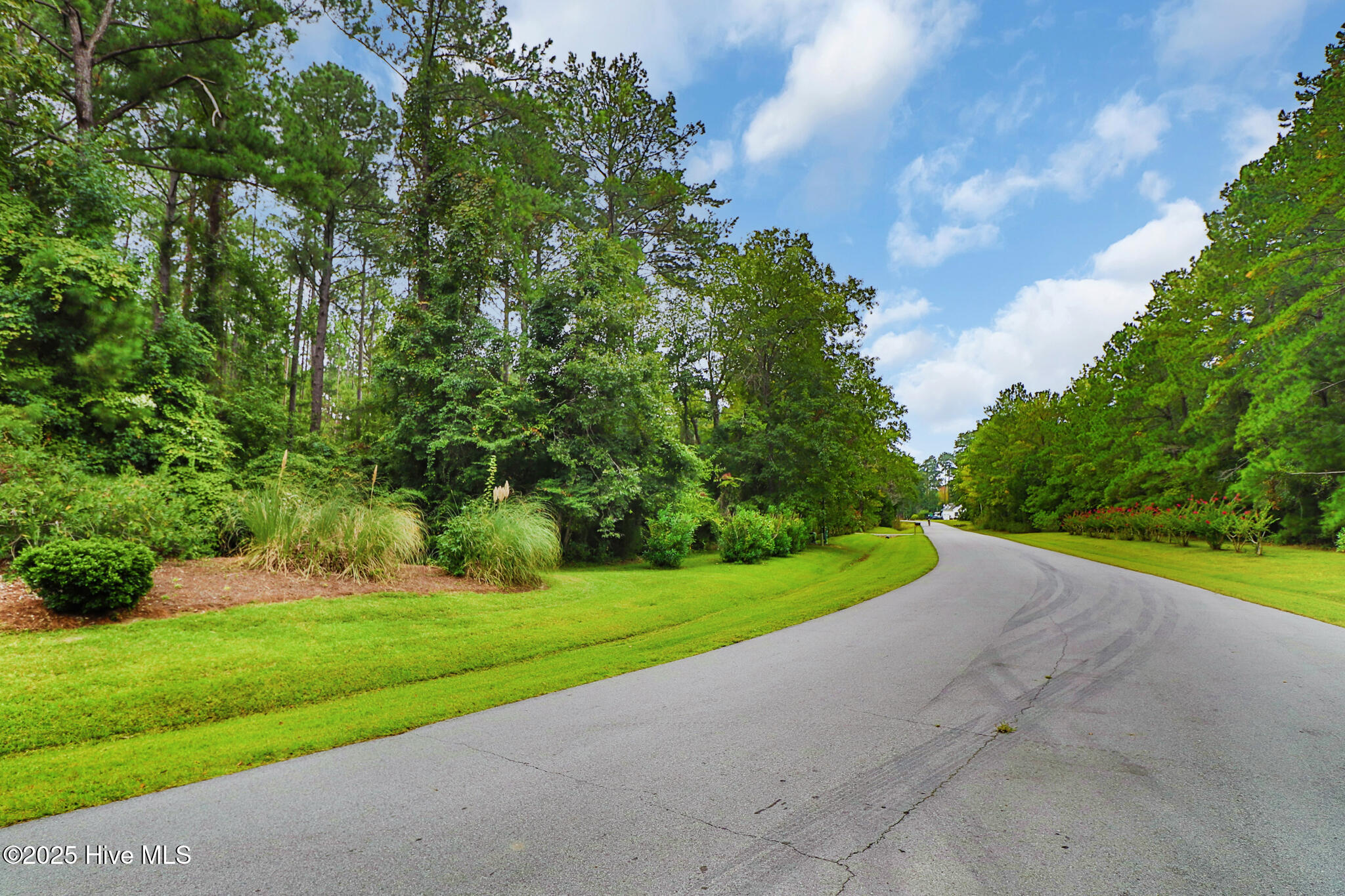 101 Cummins Creek Road Beaufort, NC 28516 - Photo 8 of 20 Corner lot in Jonaquin's Landing