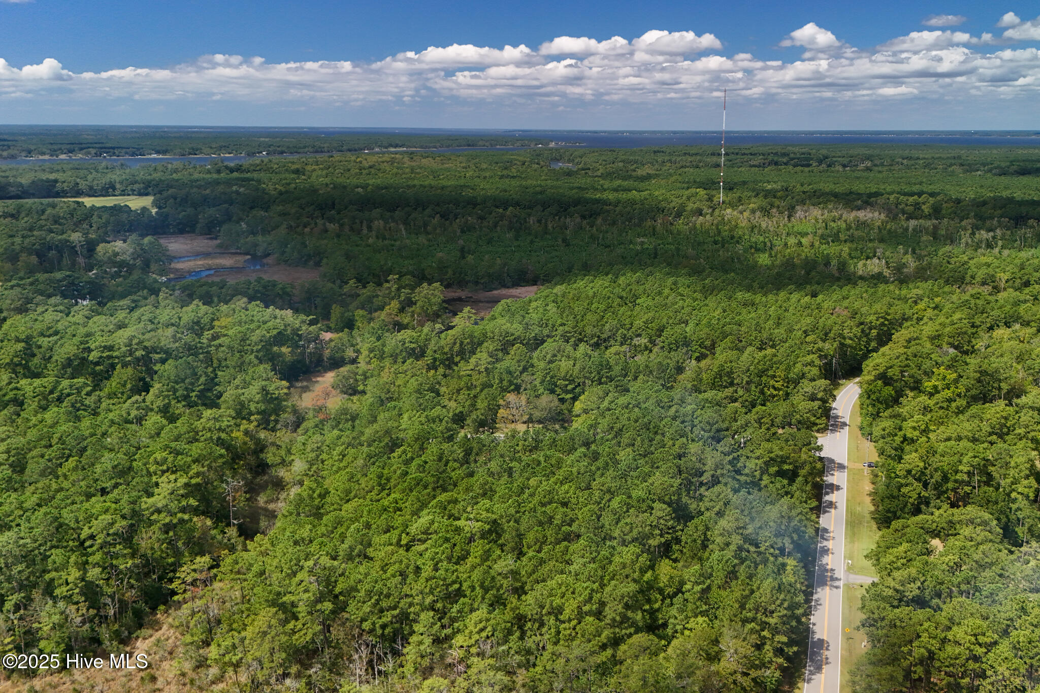 101 Cummins Creek Road Beaufort, NC 28516 - Photo 10 of 20 Build your own home in Beaufort