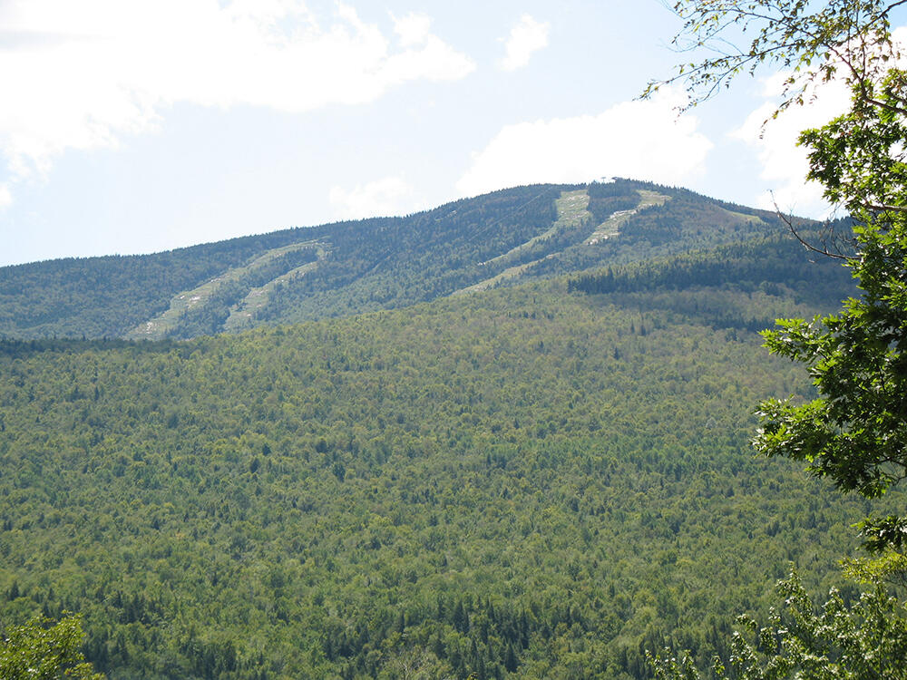 33 Nahama Way Newry, ME 04261 - Photo 91 of 96 BEAR RIDGE 3