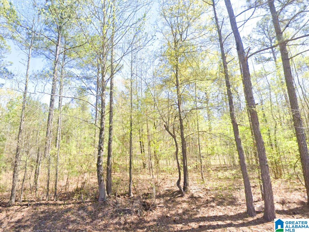 5565 Red Robin Road Sylacauga, AL 35151 - Photo 10 of 15
