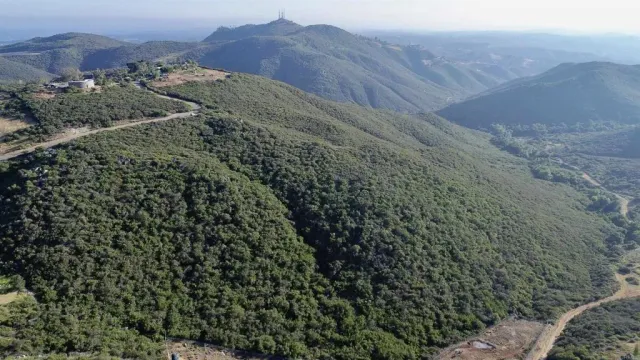 a view of a dry yard