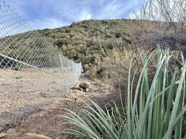 a view of a dry yard with mountains in the background