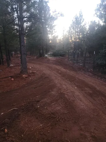 a view of outdoor space with trees